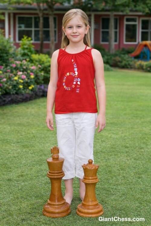 12 inch chess set photo