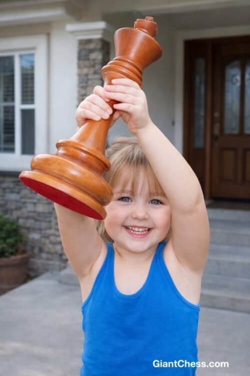 12 inch chess set photo
