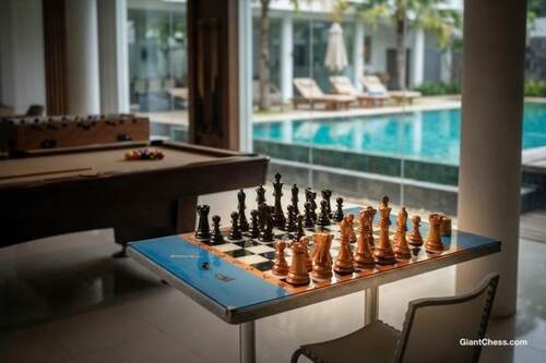 8 inch chess set photo