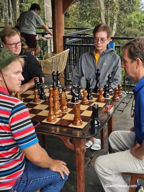 8 inch chess set photo